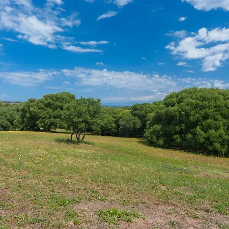 Stella Marina Piscina E Vista Mare Appartement *